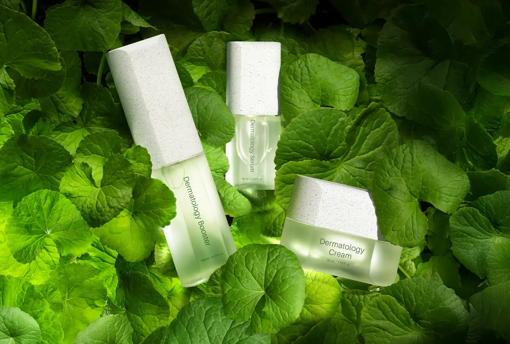 Productos RIMAN entre hojas de centella asiatica